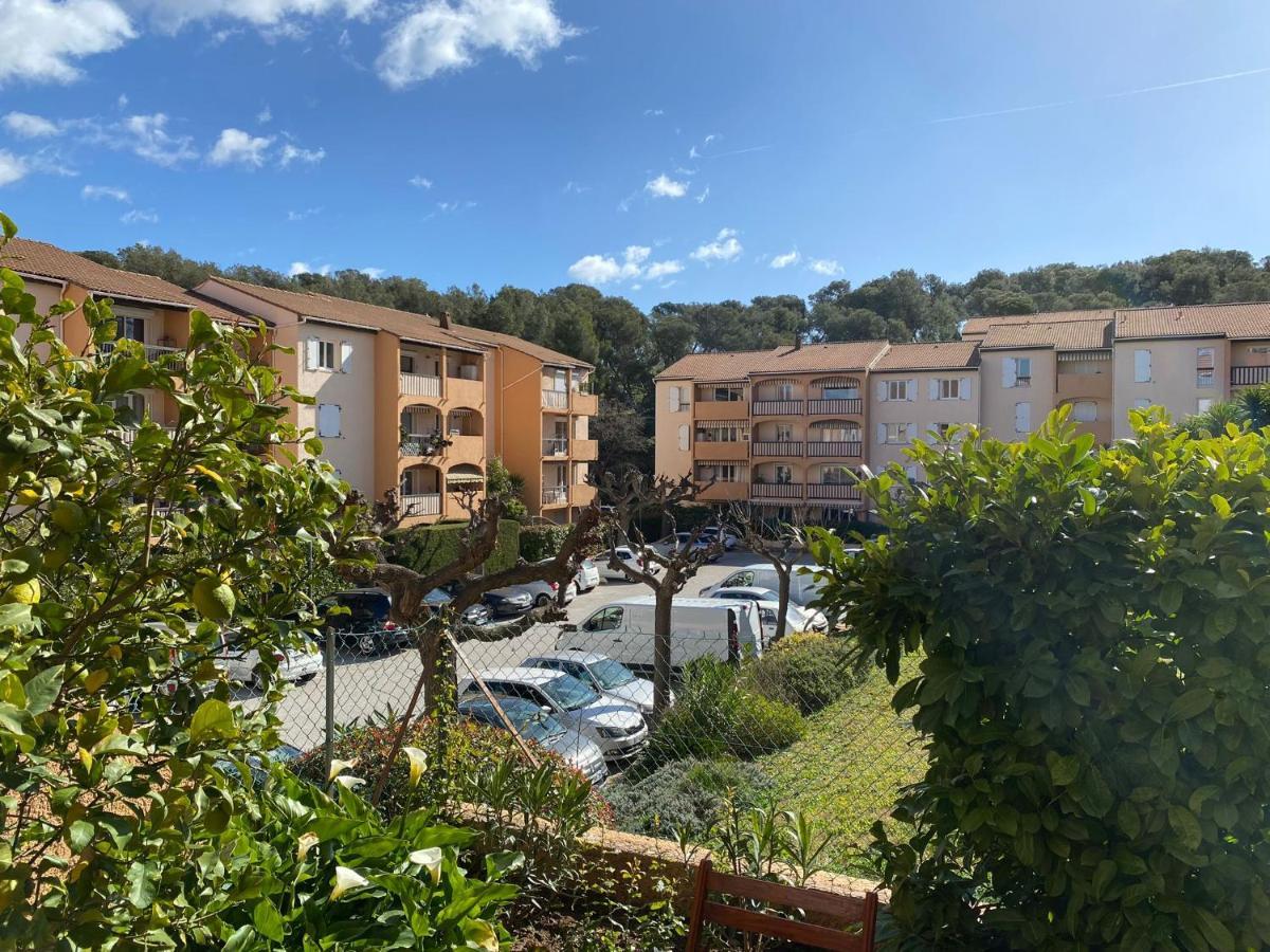 Charmant Studio Costebelle Proche Gare, Terrasse Et Parking Gratuit Apartment Hyeres Exterior photo